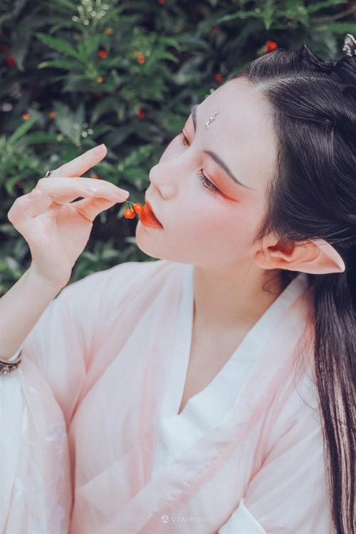 特工使命2020